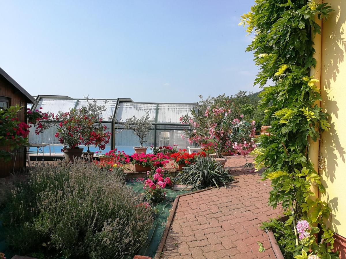 Chambre D'Hotes De La Tulipe Mittelbergheim Εξωτερικό φωτογραφία